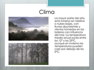 Clima
La mayor parte del año
está inmerso en neblina
o nubes bajas, con
lluvias abundantes y
vientos húmedos en las
laderas con influencia
del mar. La temperatura
media anual oscila entre
los 12° y los 23°C,
aunque en invierno las
temperaturas pueden
caer por debajo de los
0°C.