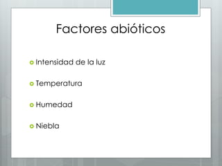 Factores abióticos
Intensidad de la luz
Temperatura
Humedad
Niebla