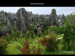 Ha pat má a est
  y res s gr es…
 