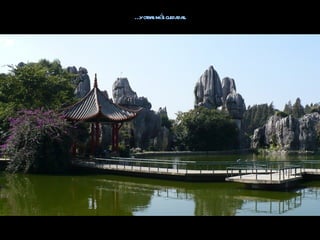 … ota má cuida s.
 y rs s       da
 