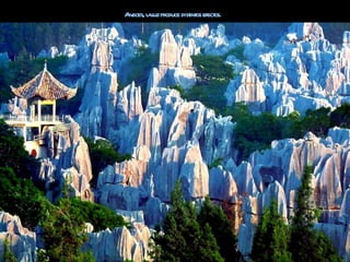 Av l l pr
  eces, a uz oduce dist os efect
                      int      os.
 