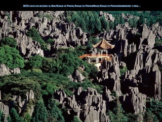 E ádiv en sect es: elGa Bosque de Piedr , Bosque de Piedr M , Bosque de Piedr Ulr t r r yotos…
 st idido    or       rn               a                 a enor              a taereste r
 