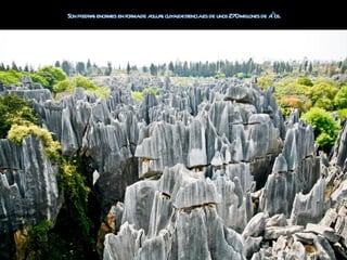 ma guj s        encia              l       ñ
Son piedr s enor en for de a a cuyaexist es de unos 270milones de aos.
         a mes
 