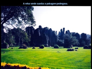 A relva verde suaviza a paisagem pedregosa.
 