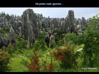 Há partes mais agrestes…
 