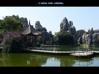 … e outras mais cuidadas.
 