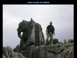 Outra recorda um elefante.
 