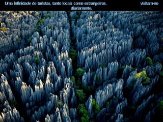 Uma infinidade de turistas, tanto locais como estrangeiros,   visitam-no
                                       diariamente.
 