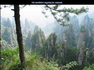 Há também vegetação natural.
 