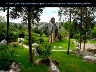 O bom gosto transformou parte do Bosque de Pedra em um jardím.
 