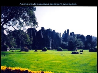 A relva verde suaviza a paisagem pedregosa.
 