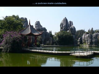 … e outras mais cuidadas.
 