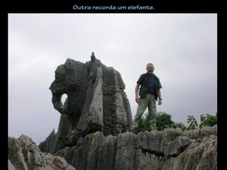 Outra recorda um elefante.
 