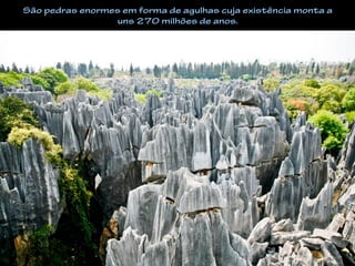 São pedras enormes em forma de agulhas cuja existência monta a
uns 270 milhões de anos.
 