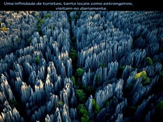 Uma infinidade de turistas, tanto locais como estrangeiros,
visitam-no diariamente.
 