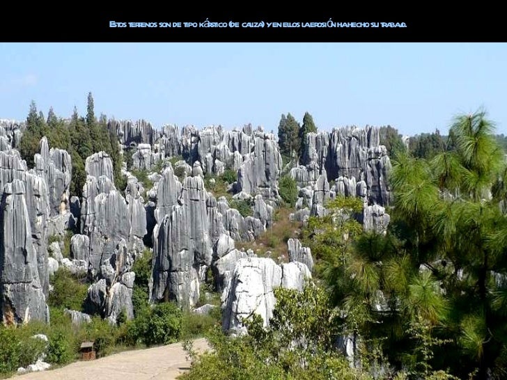 Bosque De Piedra En Yunnan China