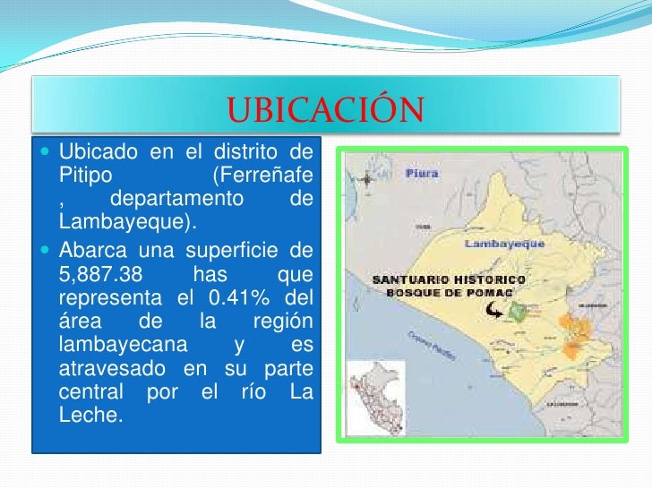 Resultado de imagen para SANTUARIO HISTORICO BOSQUE DE POMAC