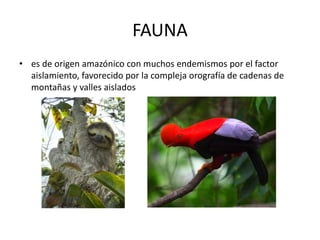 FAUNA
• es de origen amazónico con muchos endemismos por el factor
aislamiento, favorecido por la compleja orografía de cadenas de
montañas y valles aislados
 
