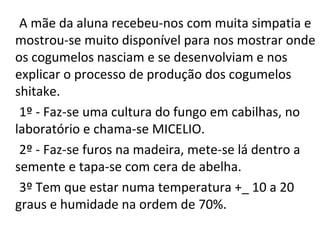 A mãe da aluna recebeu-nos com muita simpatia e 
mostrou-se muito disponível para nos mostrar onde 
os cogumelos nasciam e se desenvolviam e nos 
explicar o processo de produção dos cogumelos 
shitake. 
1º - Faz-se uma cultura do fungo em cabilhas, no 
laboratório e chama-se MICELIO. 
2º - Faz-se furos na madeira, mete-se lá dentro a 
semente e tapa-se com cera de abelha. 
3º Tem que estar numa temperatura +_ 10 a 20 
graus e humidade na ordem de 70%. 
 