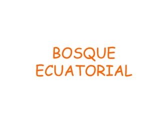BOSQUE
ECUATORIAL