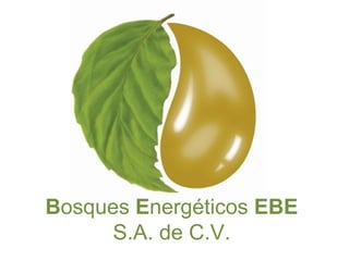 Bosques Energéticos EBE S.A. de C.V. 