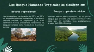 Bosque Húmedo Tropical - Biologia.pdf