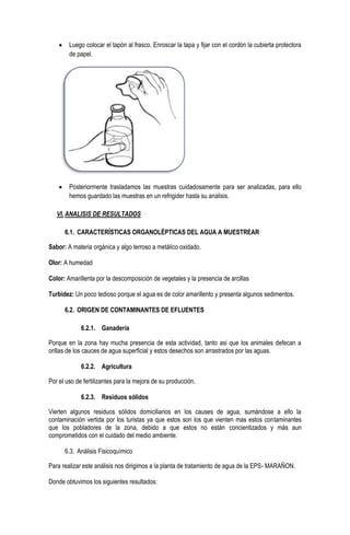 Luego colocar el tapón al frasco. Enroscar la tapa y fijar con el cordón la cubierta protectora
de papel.

Posteriormente trasladamos las muestras cuidadosamente para ser analizadas, para ello
hemos guardado las muestras en un refrigider hasta su analisis.
VI. ANALISIS DE RESULTADOS
6.1. CARACTERÍSTICAS ORGANOLÉPTICAS DEL AGUA A MUESTREAR
Sabor: A materia orgánica y algo terroso a metálico oxidado.
Olor: A humedad
Color: Amarillenta por la descomposición de vegetales y la presencia de arcillas
Turbidez: Un poco tedioso porque el agua es de color amarillento y presenta algunos sedimentos.
6.2. ORIGEN DE CONTAMINANTES DE EFLUENTES
6.2.1. Ganadería
Porque en la zona hay mucha presencia de esta actividad, tanto asi que los animales defecan a
orillas de los cauces de agua superficial y estos desechos son arrastrados por las aguas.
6.2.2. Agricultura
Por el uso de fertilizantes para la mejora de su producción.
6.2.3. Residuos sólidos
Vierten algunos residuos sólidos domiciliarios en los causes de agua, sumándose a ello la
contaminación vertida por los turistas ya que estos son los que vienten mas estos contaminantes
que los pobladores de la zona, debido a que estos no están concientizados y más aun
comprometidos con el cuidado del medio ambiente.
6.3. Análisis Fisicoquímico
Para realizar este análisis nos dirigimos a la planta de tratamiento de agua de la EPS- MARAÑON.
Donde obtuvimos los siguientes resultados:

 