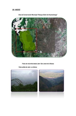 VIII. ANEXOS
Área de Conservación Municipal “Bosque Señor de Huamantanga”

Fotos de recorrido desde Jaén- San José de la Alianza
Vista salida de Jaén- La Antena

 