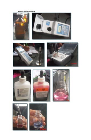 Análisis de las muestras

 