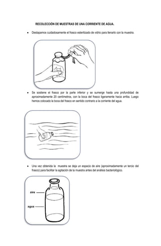 RECOLECCIÓN DE MUESTRAS DE UNA CORRIENTE DE AGUA.
Destapamos cuidadosamente el frasco esterilizado de vidrio para llenarlo con la muestra.

Se sostiene el frasco por la parte inferior y se sumerge hasta una profundidad de
aproximadamente 20 centímetros, con la boca del frasco ligeramente hacia arriba. Luego
hemos colocado la boca del frasco en sentido contrario a la corriente del agua.

Una vez obtenida la muestra se deja un espacio de aire (aproximadamente un tercio del
frasco) para facilitar la agitación de la muestra antes del análisis bacteriológico.

 
