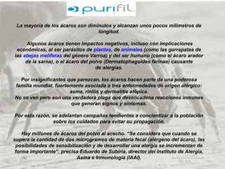 La mayoría de los ácaros son diminutos y alcanzan unos pocos milímetros de
longitud.
Algunos ácaros tienen impactos negativos, incluso con implicaciones
económicas, al ser parásitos de plantas, de animales (como las garrapatas de
las abejas melíferas del género Varroa) y del ser humano (como el ácaro arador
de la sarna), o el ácaro del polvo (Dermatophagoides farinae) causante
de alergias.
Por insignificantes que parezcan, los ácaros hacen parte de una poderosa
familia mundial, fuertemente asociada a tres enfermedades de origen alérgico:
asma, rinitis y dermatitis atópica.
No se ven pero son una verdadera plaga que desencadena reacciones inmunes
que generan signos y síntomas.
Por esta razón, se adelantan campañas tendientes a concientizar a la población
sobre los cuidados para evitar su propagación.
Hay millones de ácaros del polvo al acecho. “Se considera que cuando se
supera la cantidad de dos microgramos de materia fecal (alérgeno del ácaro), las
posibilidades de sensibilización y de desarrollar una alergia se incrementan de
forma importante”, precisa Eduardo de Subiría, director del Instituto de Alergia,
Asma e Inmunología (IAAI).
 