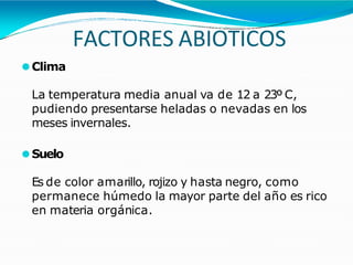 FACTORES ABIOTICOS
⚫Clima
La temperatura media anual va de 12 a 23º C,
pudiendo presentarse heladas o nevadas en los
meses invernales.
⚫Suelo
Es de color amarillo, rojizo y hasta negro, como
permanece húmedo la mayor parte del año es rico
en materia orgánica.
 