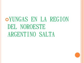 YUNGAS EN LA REGION 
DEL NOROESTE 
ARGENTINO SALTA 
 