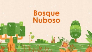 Bosque
Nuboso
 