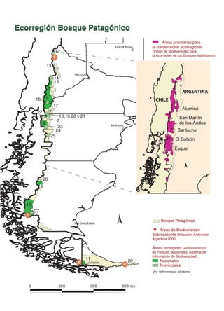 Ecorregi n
Ecorregión Bosque Patag nico
                  Patagónico
                                                               Áreas prioritarias para
                                                         la conservación ecorregional
                       12                                (Visión de Biodiversidad para
                                                         la ecorregión de los Bosques Valdivianos)
                      1
                 13

                      14
                      15
                 5
                                                                            ARGENTINA
       16        6                                         CHILE
                      17
        22
                           18,19,20 y 21
                          7
             8
                           23
                          24
                     25




             26
            9



  10
       27
  2
                                                              Bosque Patagónico

                                                             Áreas de Biodiversidad
                                                         Sobresaliente (Situación Ambiental
                                                         Argentina 2000)

                                                         Áreas protegidas (Administración
                                                         de Parques Nacionales. Sistema de
                                                         Información de Biodiversidad)
                                           11       28       Nacionales
                                    3           4            Provinciales
                                                         Ver referencias al dorso



                                                    Km
 
