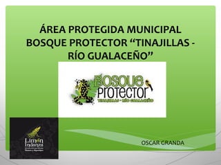 ÁREA PROTEGIDA MUNICIPAL
BOSQUE PROTECTOR “TINAJILLAS RÍO GUALACEÑO”

OSCAR GRANDA

 