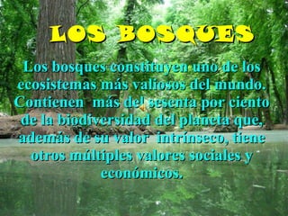 LOS BOSQUES Los bosques constituyen uno de los ecosistemas más valiosos del mundo. Contienen  más del sesenta por ciento de la biodiversidad del planeta que, además de su valor  intrínseco, tiene otros múltiples valores sociales y económicos. 