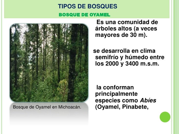 Bosques