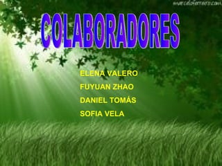 COLABORADORES ELENA VALERO FUYUAN ZHAO DANIEL TOMÁS   SOFIA VELA 