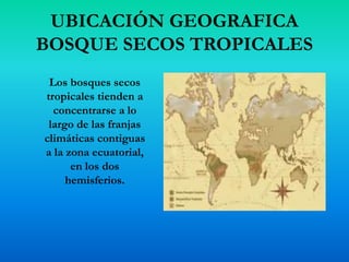 UBICACIÓN GEOGRAFICA
BOSQUE SECOS TROPICALES
Los bosques secos
tropicales tienden a
concentrarse a lo
largo de las franjas
climáticas contiguas
a la zona ecuatorial,
en los dos
hemisferios.
 