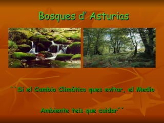 Bosques d’ Asturias ,[object Object],[object Object]