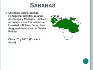 SABANAS
   Ubicación: Apure, Barinas,
    Portuguesa, Cojedes, Guárico,
    Anzoátegui y Monagas. También
    se pueden encontrar sabanas en
    los estados Bolívar, Sucre, Zulia,
    Aragua y Miranda y en el Distrito
    Federal

   Clima: 26 y 28° C (Promedio
    Anual)
 