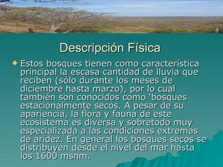 Descripción Física Estos bosques tienen como característica principal la escasa cantidad de lluvia que reciben (sólo durante los meses de diciembre hasta marzo), por lo cual también son conocidos como ‘bosques estacionalmente secos. A pesar de su apariencia, la flora y fauna de este ecosistema es diversa y sobretodo muy especializada a las condiciones extremas de aridez.  En general los bosques secos se distribuyen desde el nivel del mar hasta los 1600 msnm. 