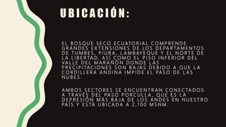U B I C A C I Ó N :
E L B O S Q U E S E C O E C U ATO R I A L C O M P R E N D E
G R A N D E S E X T E N S I O N E S D E L O S D E PA R TA M E N TO S
D E T U M B E S , P I U R A , L A M B AY E Q U E Y E L N O R T E D E
L A L I B E R TA D, A S Í C O M O E L P I S O I N F E R I O R D E L
VA L L E D E L M A R A Ñ Ó N D O N D E L A S
P R E C I P I TA C I O N E S S O N B A J A S D E B I D O A Q U E L A
C O R D I L L E R A A N D I N A I M P I D E E L PA S O D E L A S
N U B E S .
A M B O S S E C TO R E S S E E N C U E N T R A N C O N E C TA D O S
A T R AV É S D E L PA S O P O R C U L L A , Q U E E S L A
D E P R E S I Ó N M Á S B A J A D E L O S A N D E S E N N U E S T R O
PA Í S Y E S TÁ U B I C A D A A 2 , 1 0 0 M S N M .
 