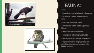 FAUNA:
AVES:
- Pava aliblanca, chachalaca de cabeza rufa.
- Picaflor de Tumbes, estrellita de cola
corta.
- Loros: de frente roja, sordo.
- Palomas: de vientre ocráceo, peruana
blanca.
- Pericos: pachaloro, macareño.
- Colaespinas: cabecinegra, collarado.
- Hormigueros: de collar, de cabeza gris.
- Pájaro del Inca de ala gris, paca-paca,
zorzal de dorso plomo, urraca de cola
blanca, tico tico.
 