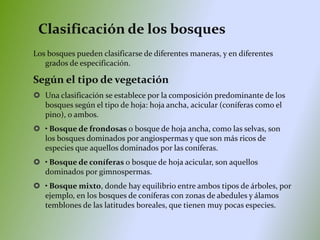 Clasificación de los bosques
Los bosques pueden clasificarse de diferentes maneras, y en diferentes
grados de especificación.
Según el tipo de vegetación
 Una clasificación se establece por la composición predominante de los
bosques según el tipo de hoja: hoja ancha, acicular (coníferas como el
pino), o ambos.
 • Bosque de frondosas o bosque de hoja ancha, como las selvas, son
los bosques dominados por angiospermas y que son más ricos de
especies que aquellos dominados por las coníferas.
 • Bosque de coníferas o bosque de hoja acicular, son aquellos
dominados por gimnospermas.
 • Bosque mixto, donde hay equilibrio entre ambos tipos de árboles, por
ejemplo, en los bosques de coníferas con zonas de abedules y álamos
temblones de las latitudes boreales, que tienen muy pocas especies.
 