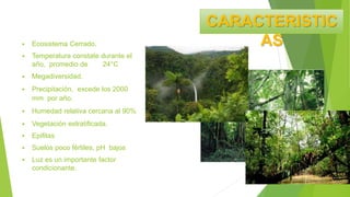  Ecosistema Cerrado.
 Temperatura constate durante el
año, promedio de 24°C
 Megadiversidad.
 Precipitación, excede los 2000
mm por año.
 Humedad relativa cercana al 90%
 Vegetación estratificada.
 Epifitas
 Suelos poco fértiles, pH bajos
 Luz es un importante factor
condicionante.
CARACTERISTIC
AS
 