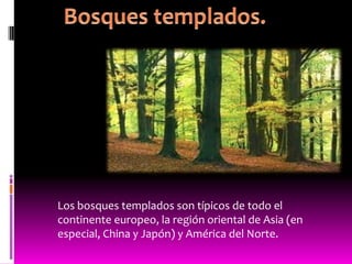 Los bosques templados son típicos de todo el
continente europeo, la región oriental de Asia (en
especial, China y Japón) y América del Norte.
 