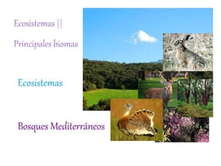 Ecosistemas ||
Principales biomas


 Ecosistemas


 Bosques Mediterráneos
 