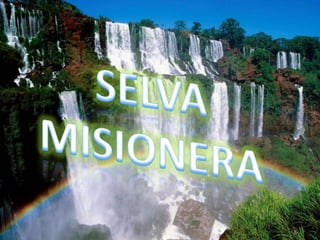 Heterogeneidad física Bosque AustralDeterminaExistencia de gran variedad de formaciones boscosas dentro de este biomaBosque Templado Cálido de hojas caducifolias